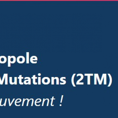 démarche toulouse métropole transition et mutation