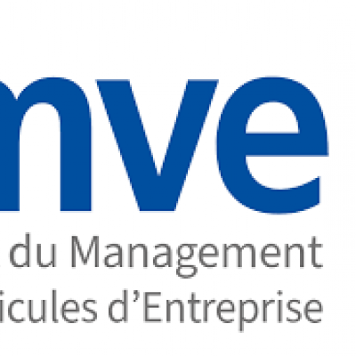 Logo IMVE