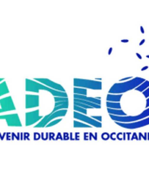Webinaire PADEO "Mettre en place une stratégie de décarbonation en entreprise"