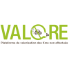 logo programme valore